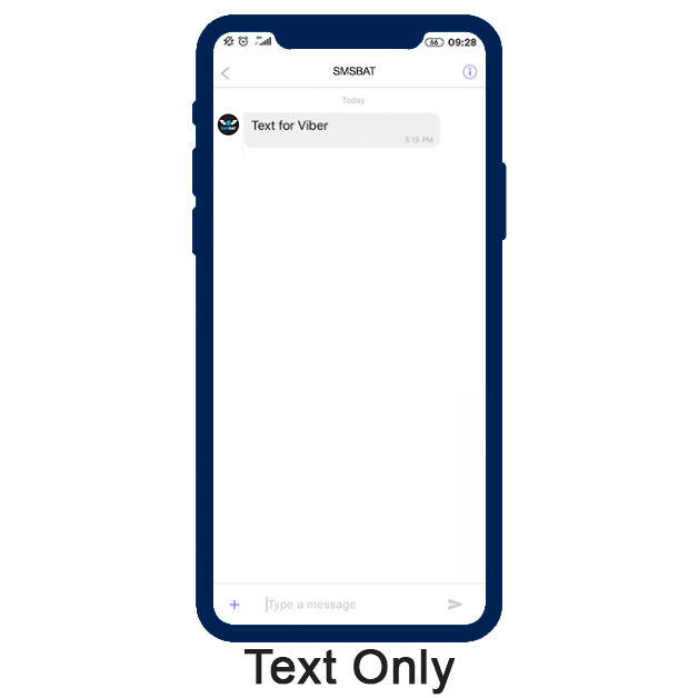 Numai text