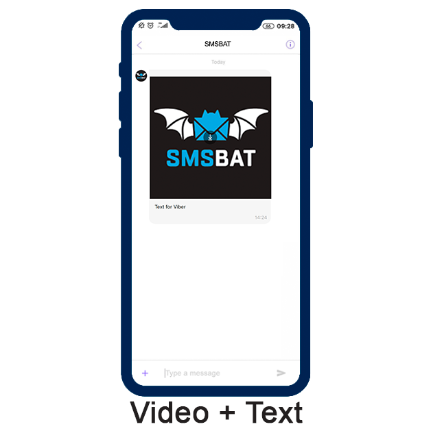 Video + Text